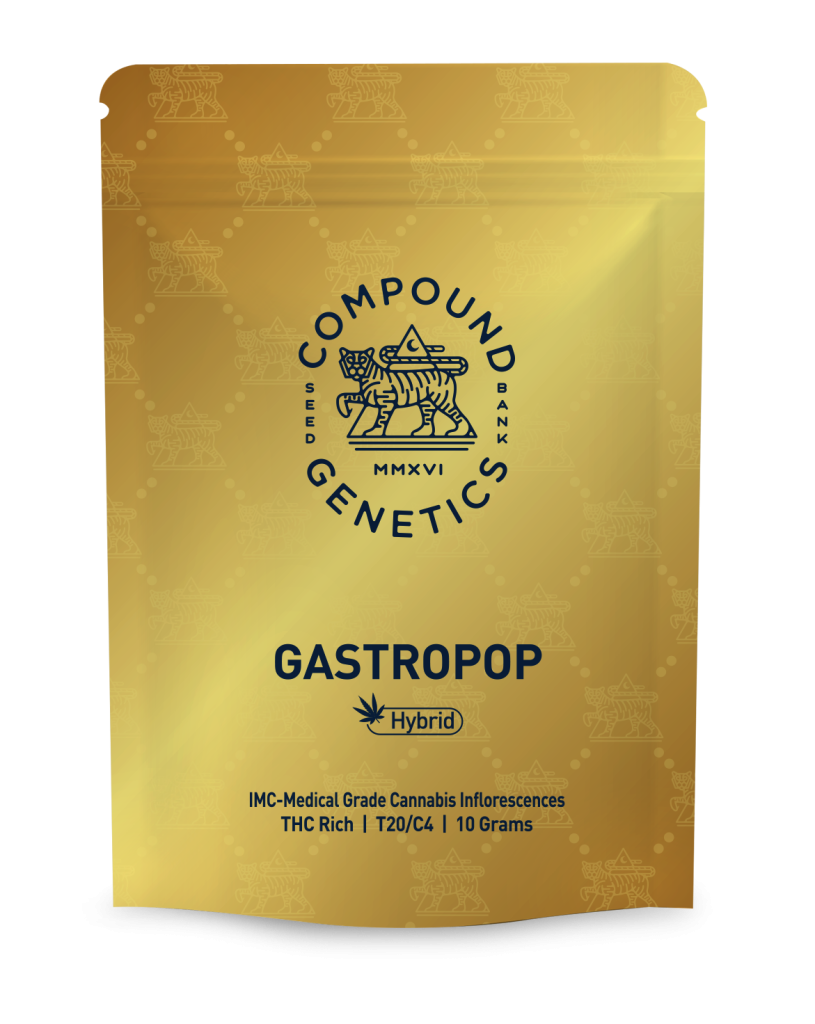 gastropop copy